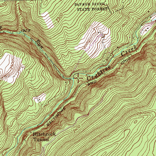 Topographic Map of Spring Lick Run, MD