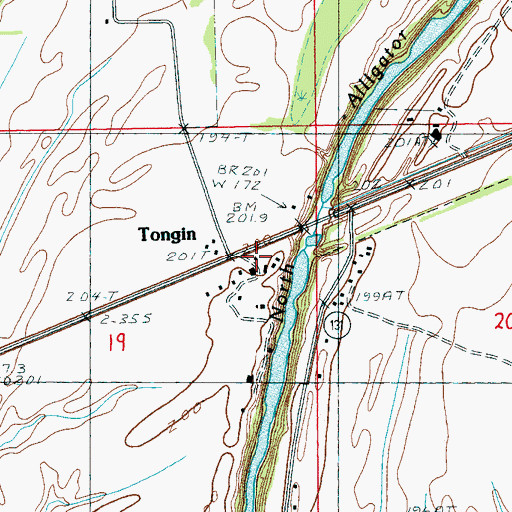Topographic Map of Tongin, AR