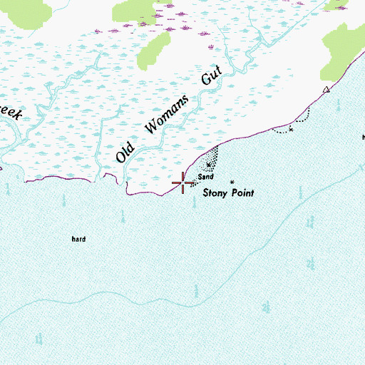 Topographic Map of Stony Point, MD