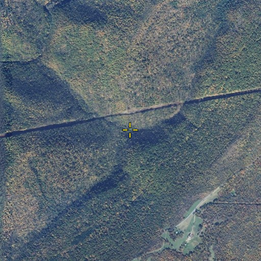 Aerial/Satellite Image of Swamp Run, MD