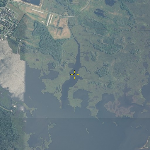 Aerial/Satellite Image of Swan Gut, MD