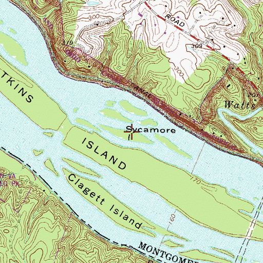 Topographic Map of Sycamore Island, MD