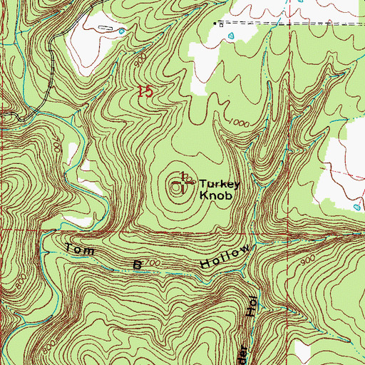 Topographic Map of Turkey Knob, AR