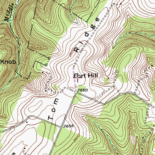 Topographic Map of Tom Ridge, MD