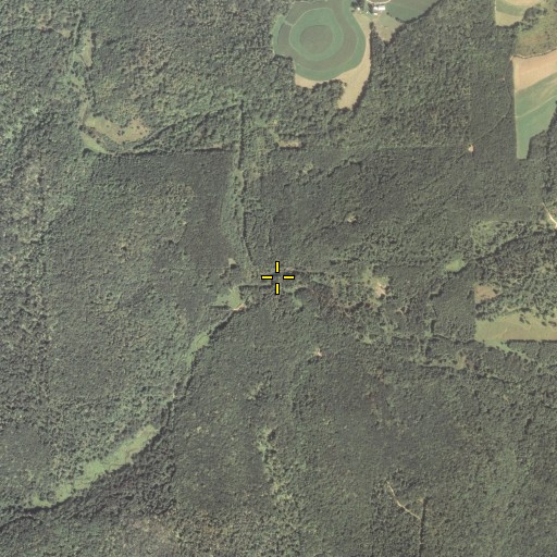 Aerial/Satellite Image of Twomile Run, MD