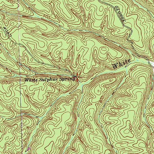 Topographic Map of White Sulphur Spring, MD