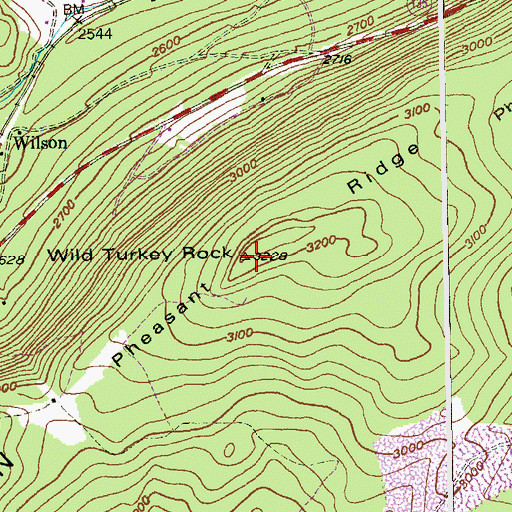 Topographic Map of Wild Turkey Rock, MD