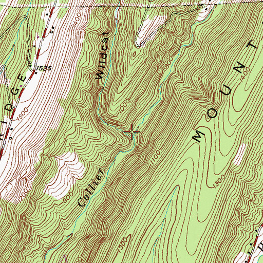 Topographic Map of Wildcat Hollow, MD
