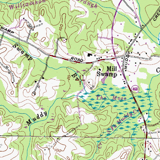 Topographic Map of Birds Mill Swamp, MD