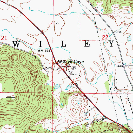 Topographic Map of Wileys Cove, AR