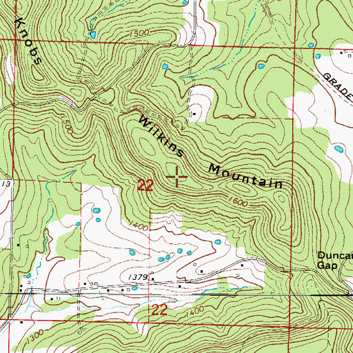 Topographic Map of Wilkins Mountain, AR