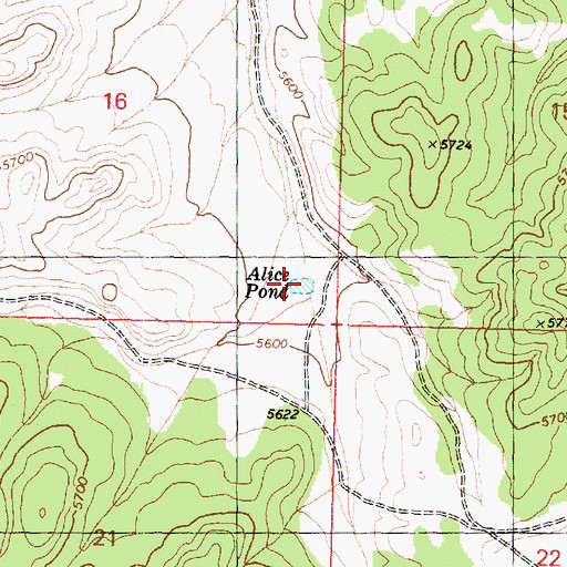 Topographic Map of Alice Pond, AZ