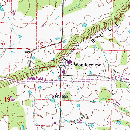 Topographic Map of Wonderview, AR