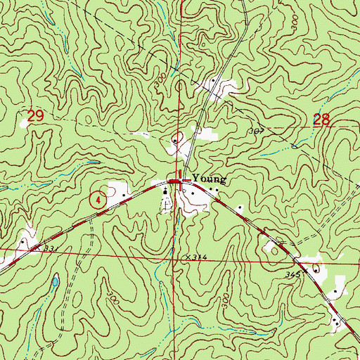 Topographic Map of Young, AR