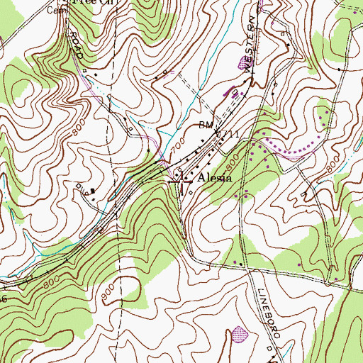 Topographic Map of Alesia, MD