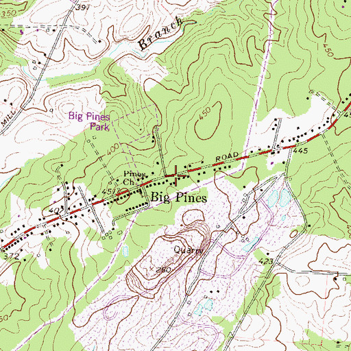 Topographic Map of Big Pines, MD