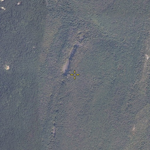 Aerial/Satellite Image of Black Rock, MD