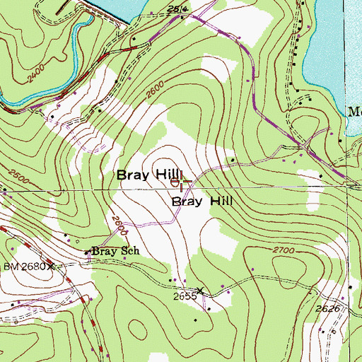 Topographic Map of Bray Hill, MD