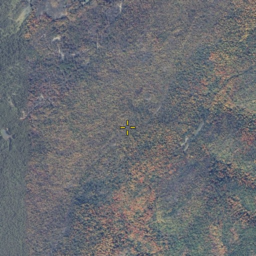 Aerial/Satellite Image of Fairview, MD