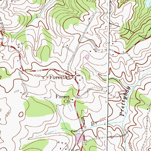 Topographic Map of Foreston, MD