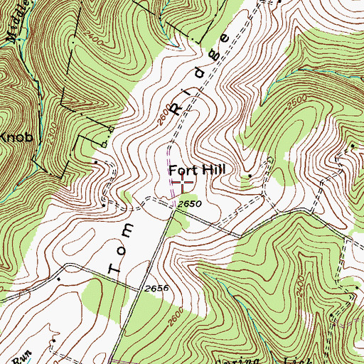 Topographic Map of Fort Hill, MD
