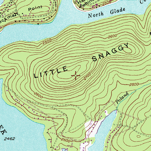 Topographic Map of Little Snaggy Mountain, MD