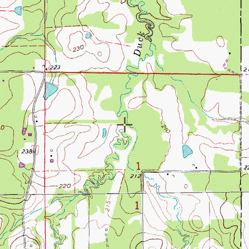 Topographic Map of Guess Branch, AR