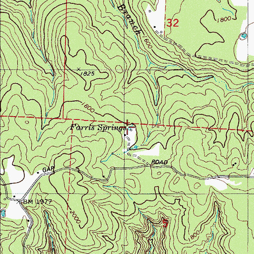 Topographic Map of Farris Springs, AR