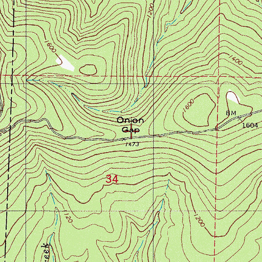 Topographic Map of Onion Gap, AR