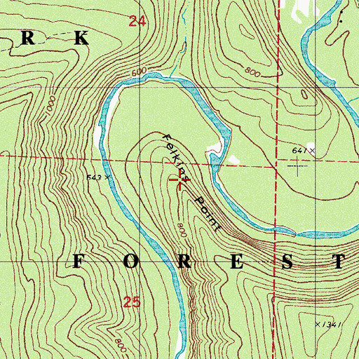 Topographic Map of Felkins Point, AR