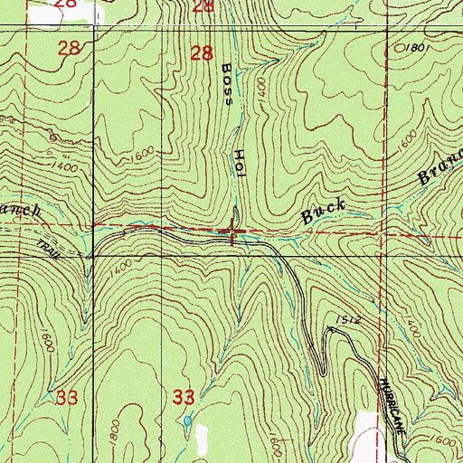 Topographic Map of Boss Hollow, AR