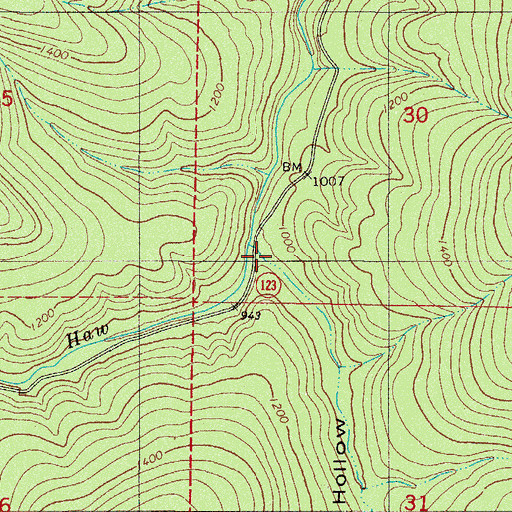 Topographic Map of Bowman Hollow, AR