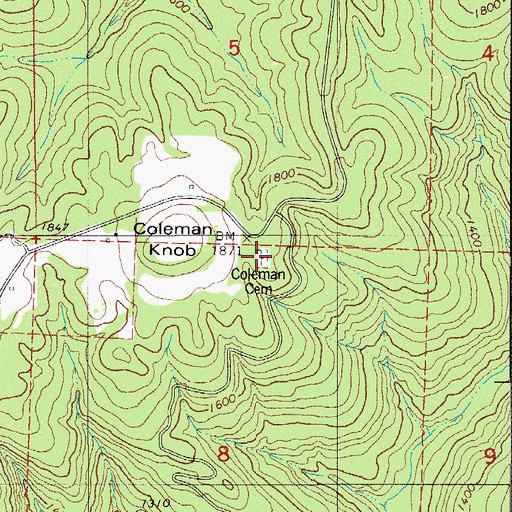 Topographic Map of Coleman Cemetery, AR