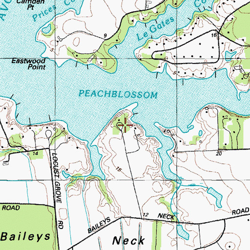 Topographic Map of Ellenborough, MD
