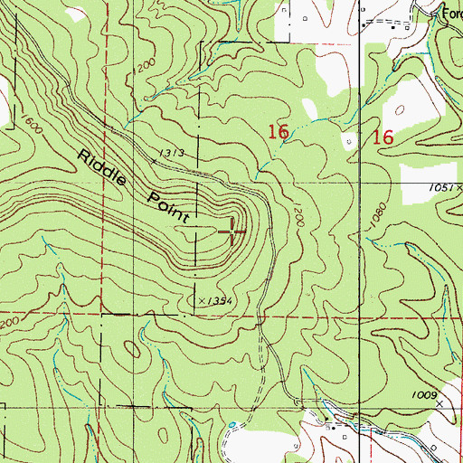 Topographic Map of Riddle Point, AR