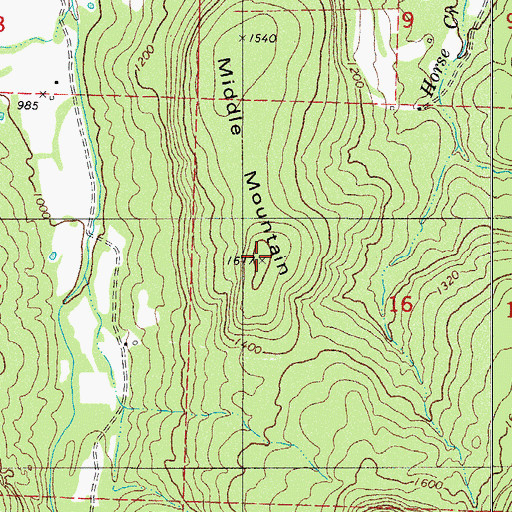 Topographic Map of Middle Mountain, AR