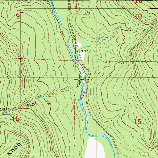 Topographic Map of Bearcat Hollow, AR