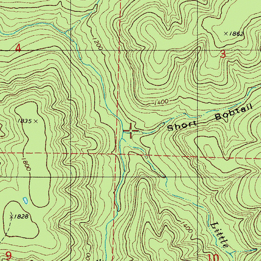 Topographic Map of Short Bobtail Hollow, AR
