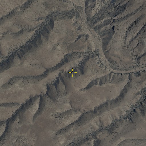 Aerial/Satellite Image of Horse Camp, AZ