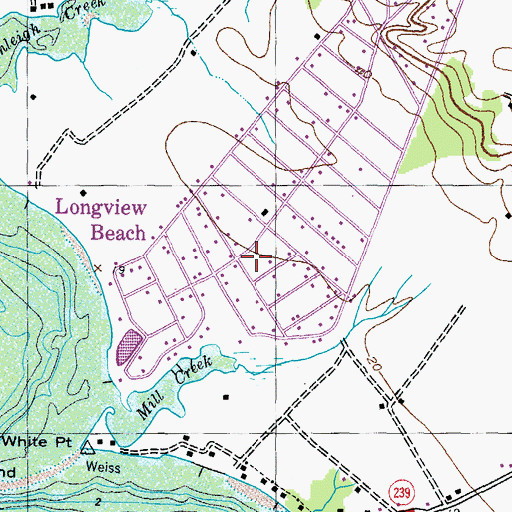Topographic Map of Longview Beach, MD