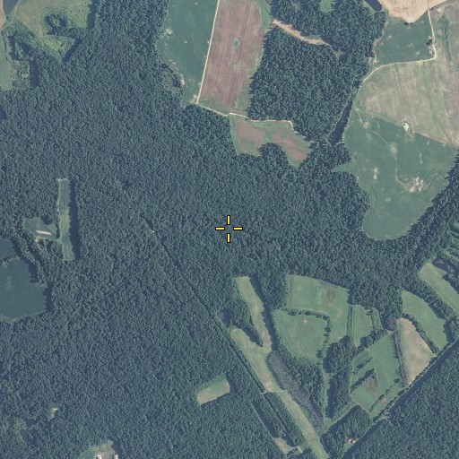 Aerial/Satellite Image of Black Bottom Branch, MD