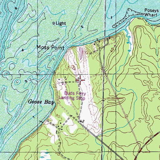 Topographic Map of Buds Ferry Airport, MD