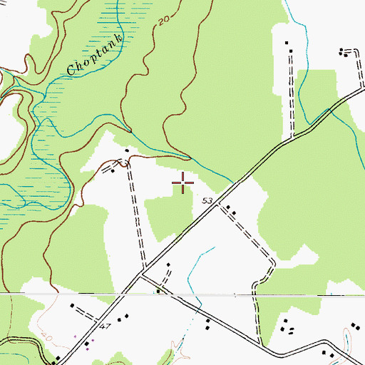 Topographic Map of Choptank Pines, MD