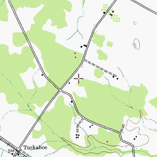 Topographic Map of Ridgely Acres, MD