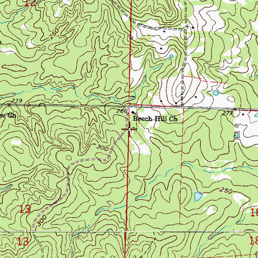 Topographic Map of Beech Hill Cemetery, AR