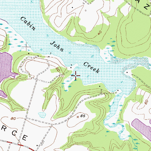 Topographic Map of Downs Branch, MD