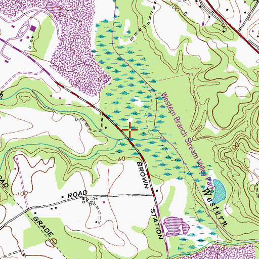 Topographic Map of Back Branch, MD