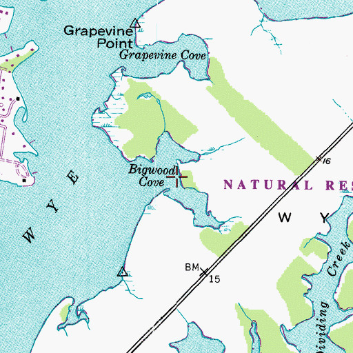 Topographic Map of Bigwood Cove, MD