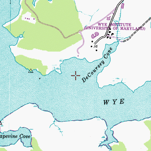 Topographic Map of DeCoursey Island, MD