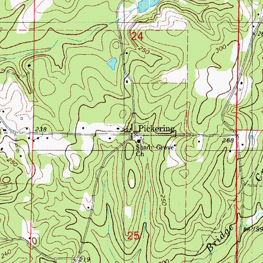 Topographic Map of Pickering, AR